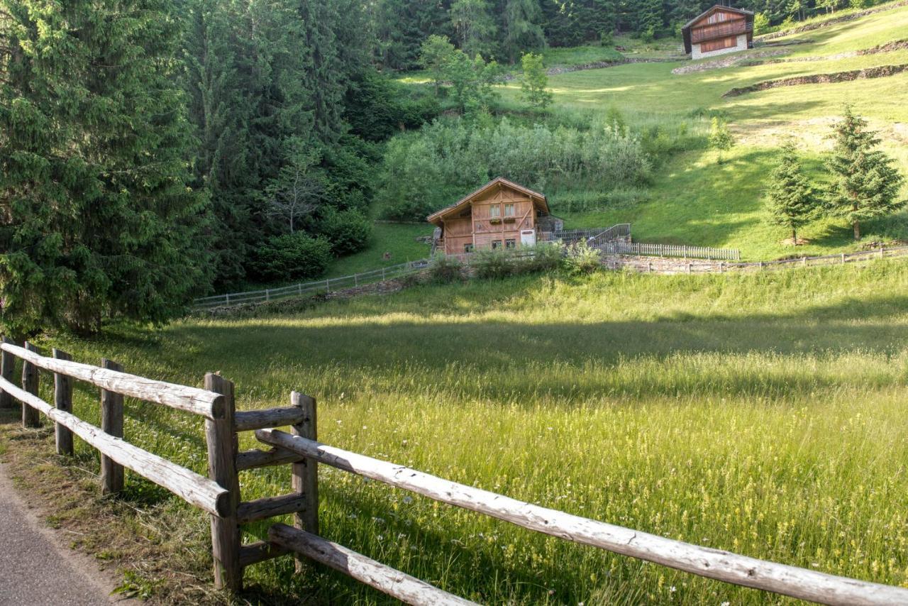 Chalet Bambi Villa Rabbi Exteriör bild