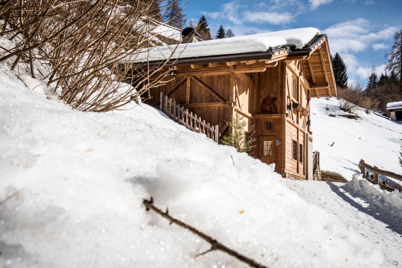 Chalet Bambi Villa Rabbi Exteriör bild